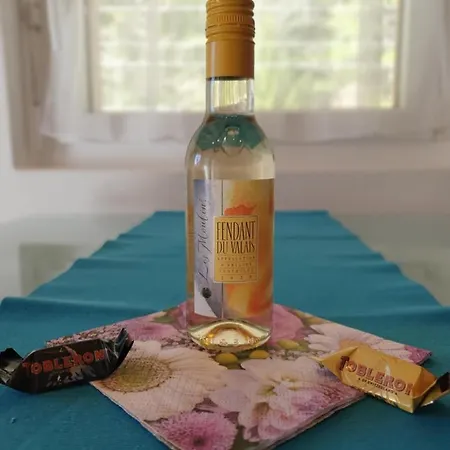 Haus Artemis * Saas-Grund