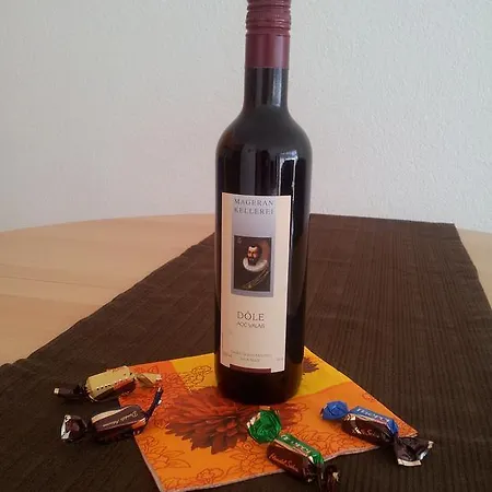 Haus Artemis Διαμέρισμα *